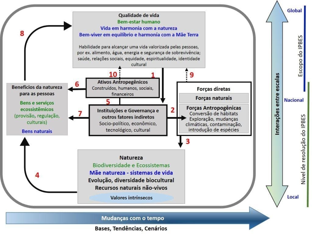 diagrama